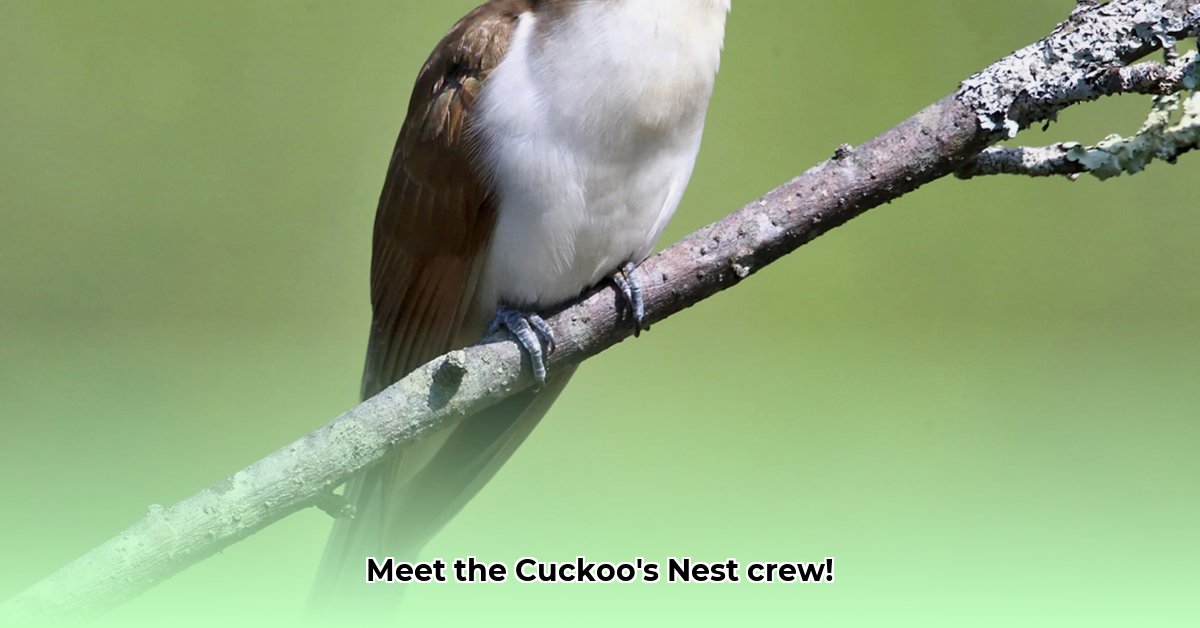 cast-one-flew-over-the-cuckoo-s-nest